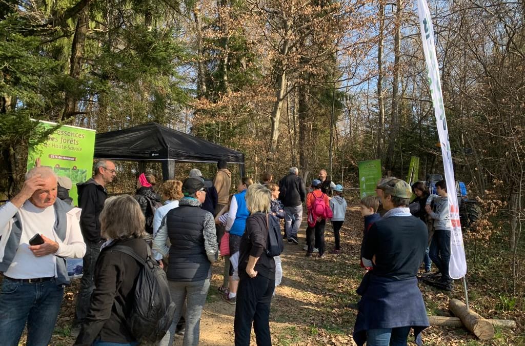 Matinée « forêts ouvertes » en HAUTE SAVOIE