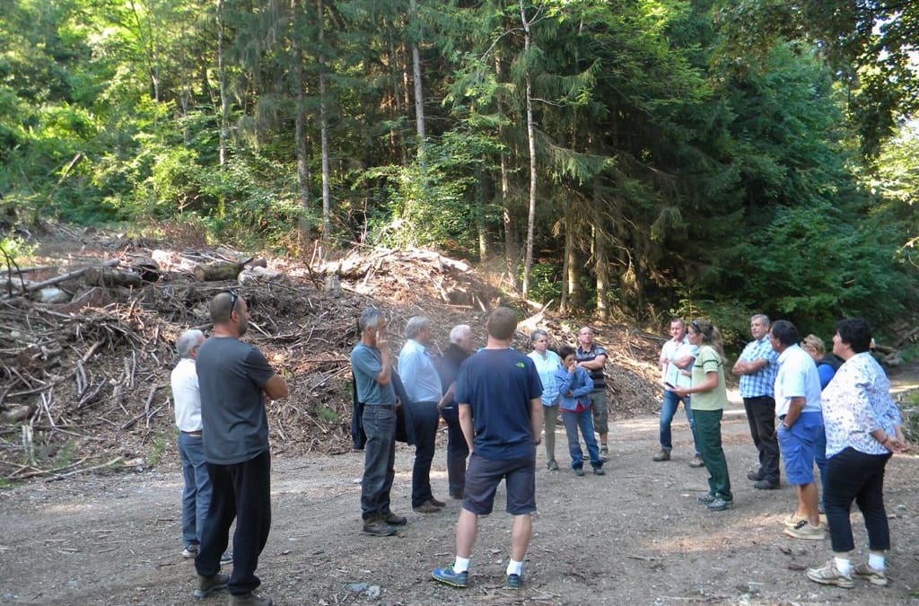Visite des élus sur la route forestière de « la motte » à FAVERGES