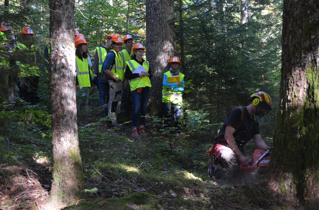 Les journées découverte des métiers de la forêt aux AILLONS (73)