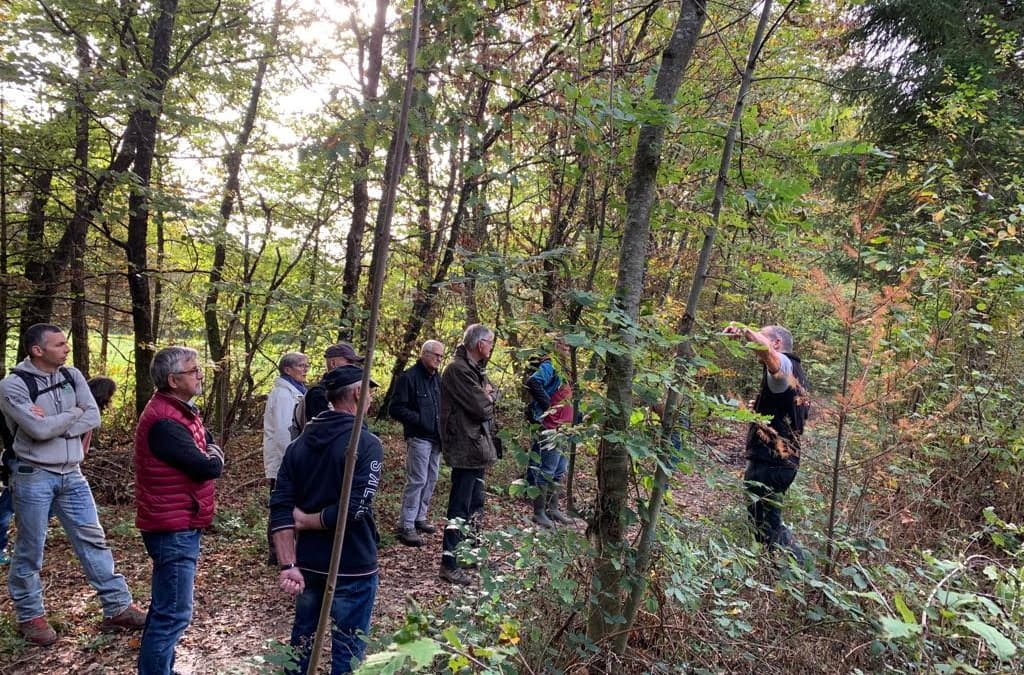 Visite de forêt  à ARGONAY