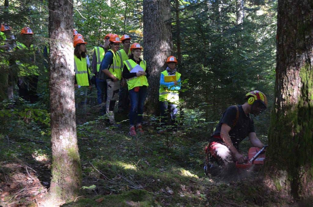 Les journées découverte des métiers de la forêt aux AILLONS (73)