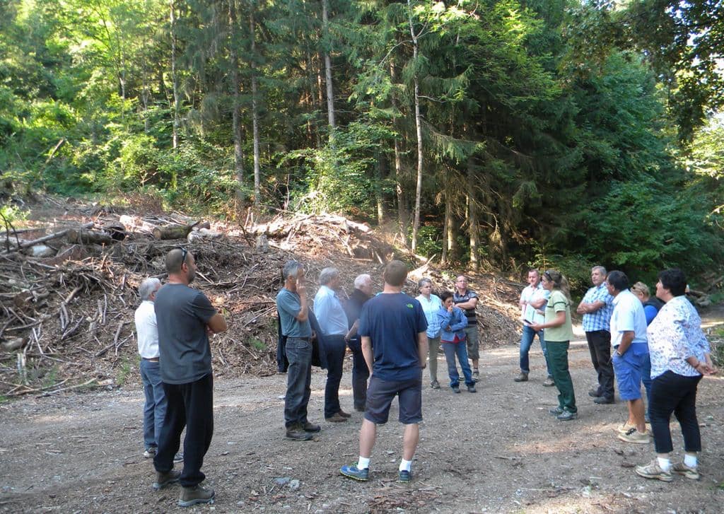 Visite des élus sur la route forestière de « la motte » à FAVERGES