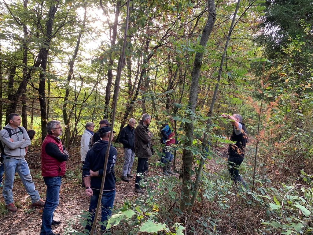 Visite de forêt  à ARGONAY
