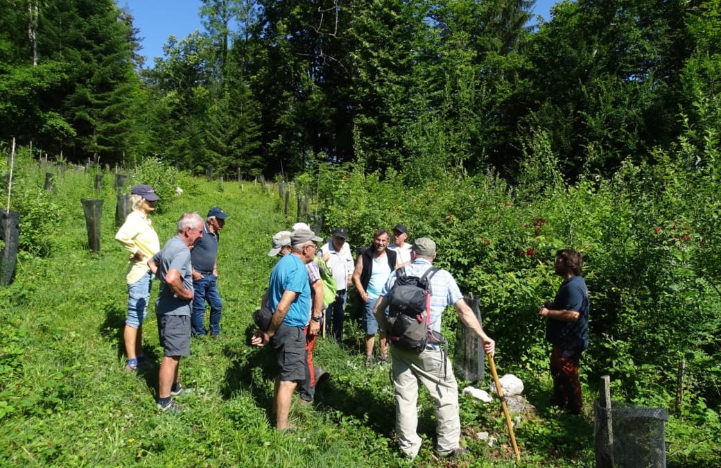 Journée de formation: « comment gérer la régénération naturelle » à GIEZ et au SEMNOZ
