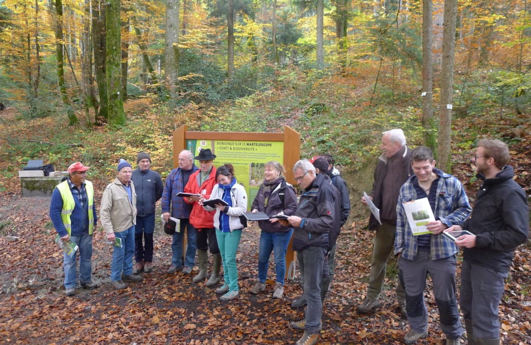 Les sylviculteurs des BAUGES au martéloscope de FAVERGES-SEYTHENEX