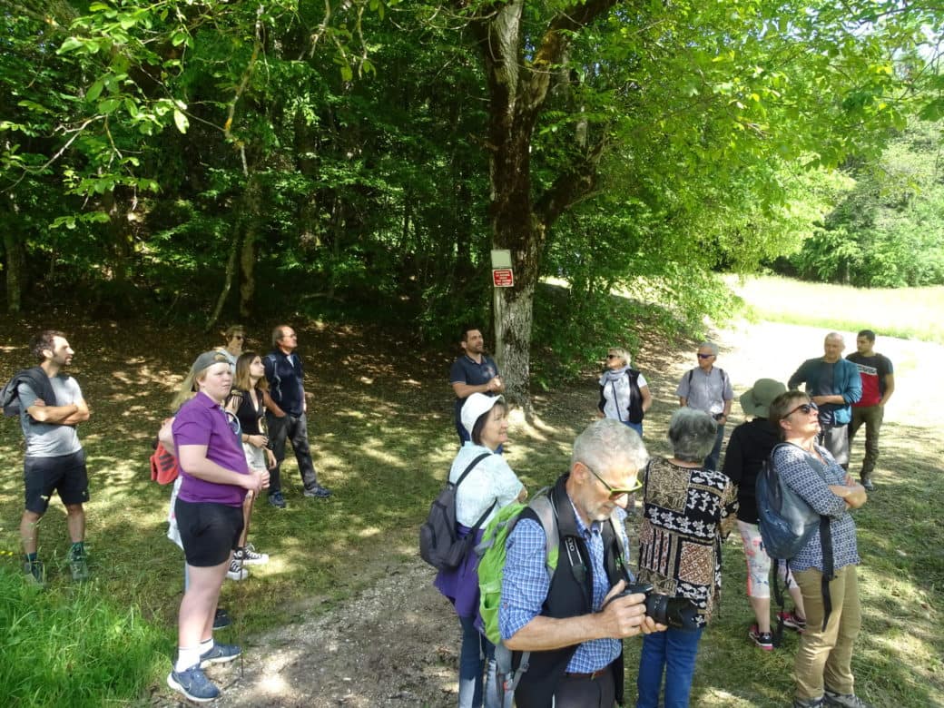 A la découverte de la forêt à FAVERGES/SEYTHENEX