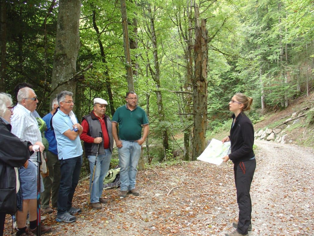 Une réunion d’information sur la futaie jardinée pour la section Chablais