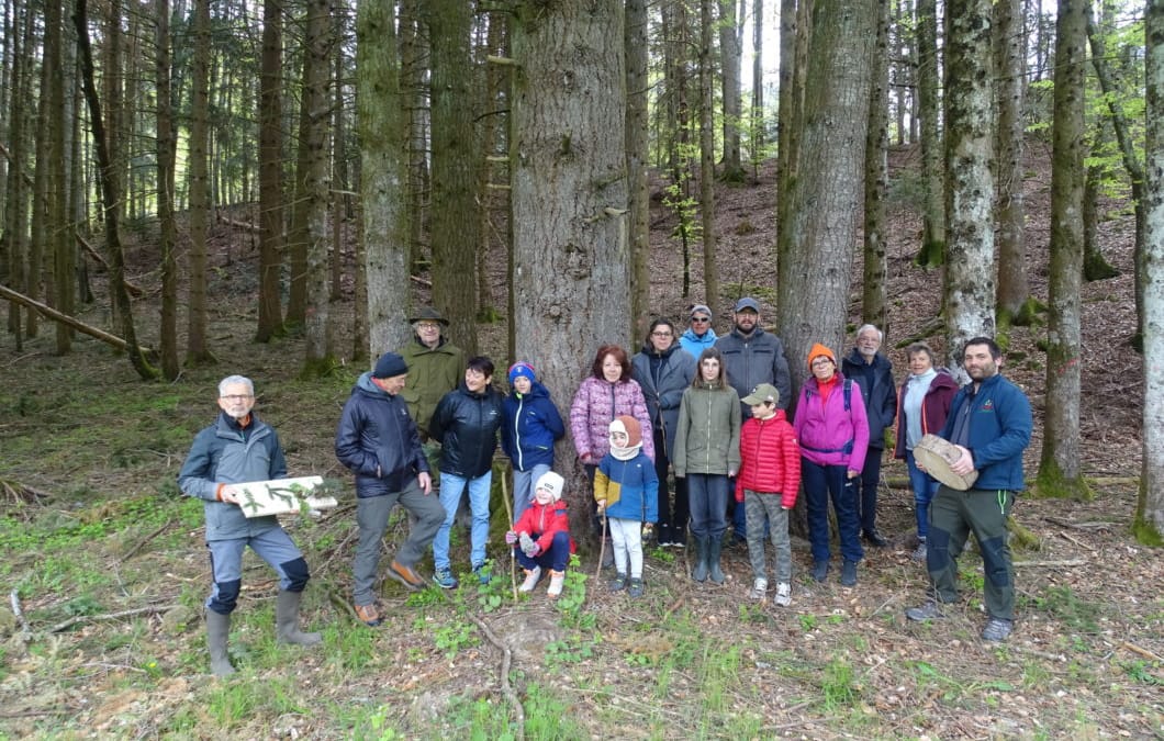 Les enfants à la découverte de la forêt à FAVERGES/SEYTHENEX