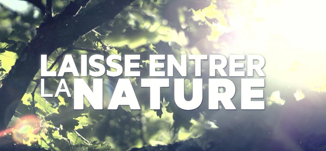 Laisse entrer la nature : une série France Télévision et France Bois Forêt