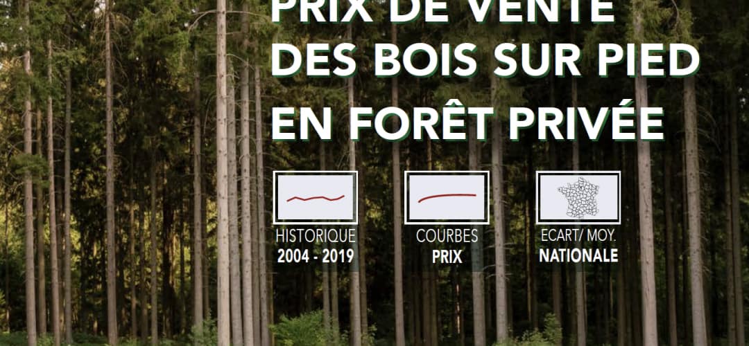 Indicateur 2020 du prix de vente des bois sur pied en forêt privée – France Bois Forêt