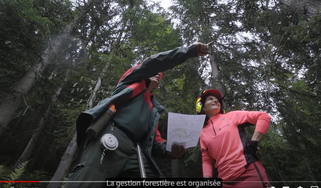 info-intox: On déforeste en France