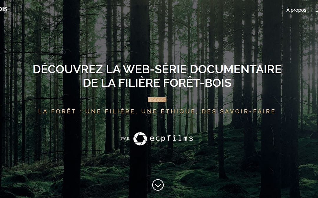Découvrez la web série documentaire de la filière forêt – bois