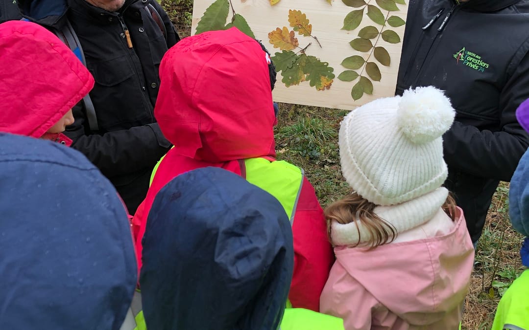 Découverte de l&rsquo;écosystème forestier et du rôle des propriétaires forestiers privés avec l&rsquo;école de SEYTHENEX