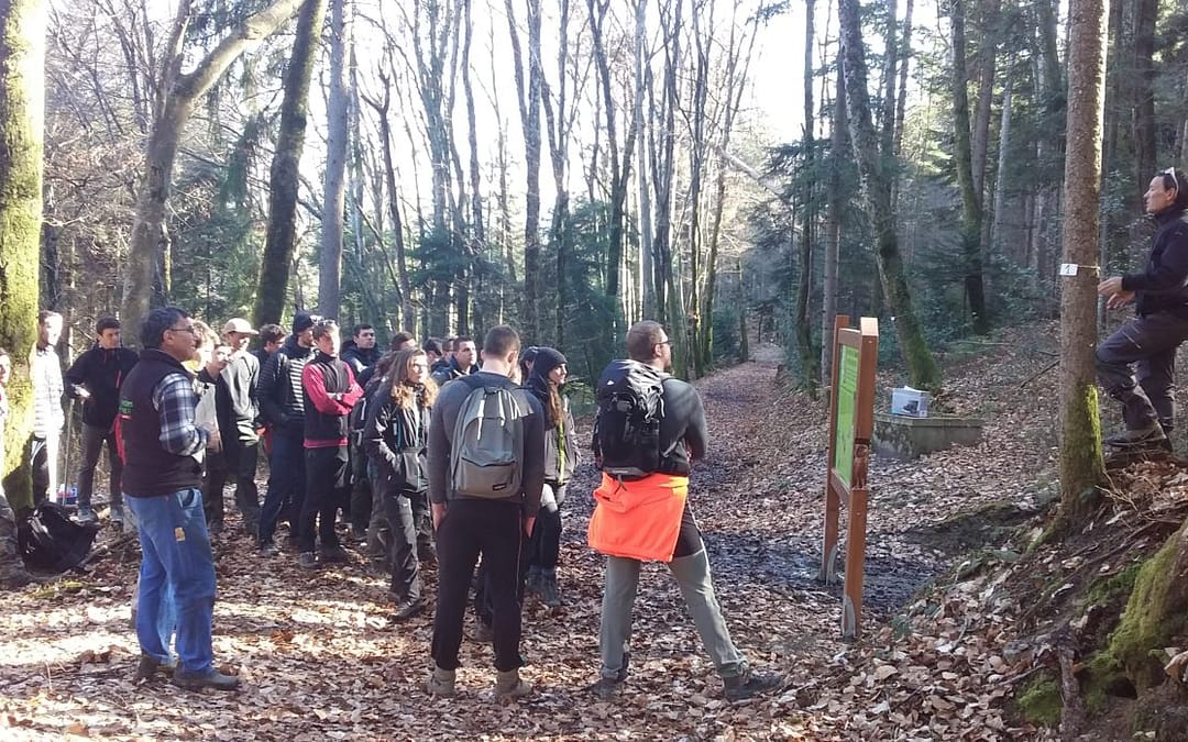Une belle journée en futaie irrégulière à FAVERGES-SEYTHENEX