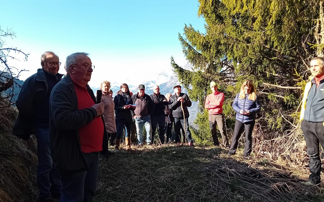 gestion forestière et utilisation du bois-énergie aux Carroz d&rsquo;Arâches