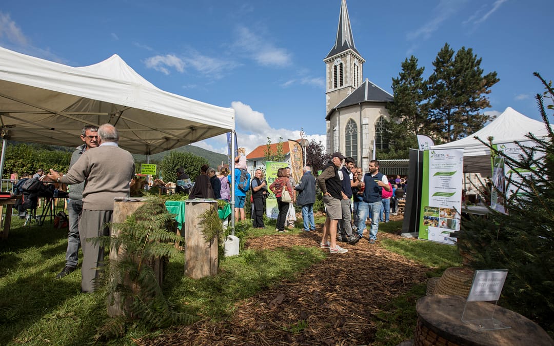 les forestiers des BAUGES à la fête du LAUDON à SAINT JORIOZ