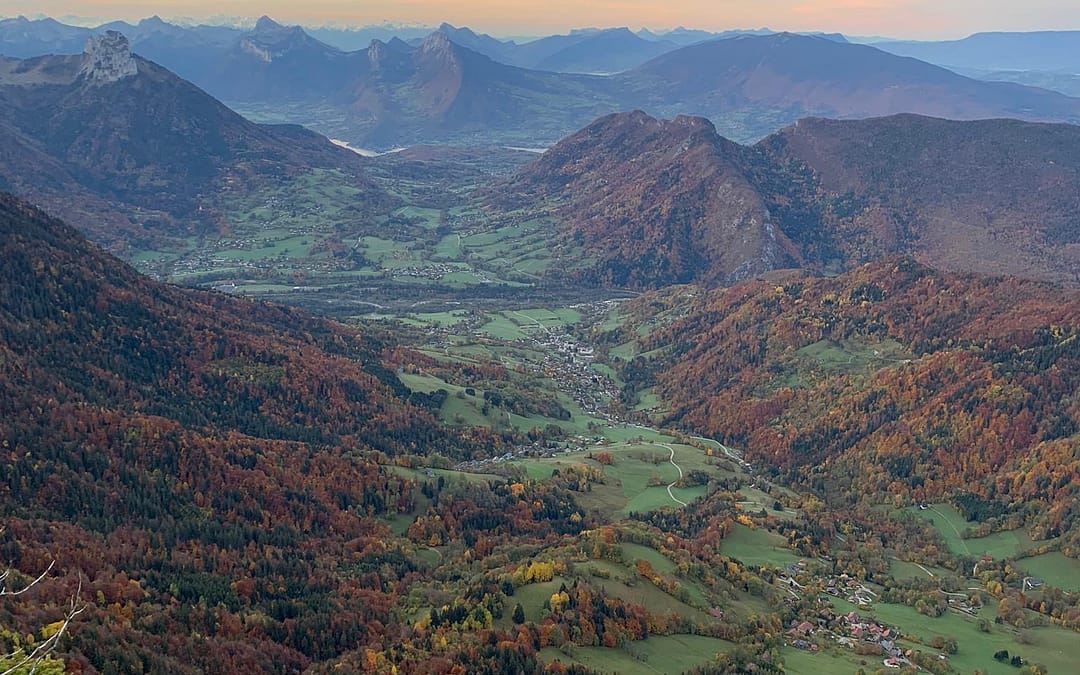 Les derniers résultats de l&rsquo;Inventaire Forestier National