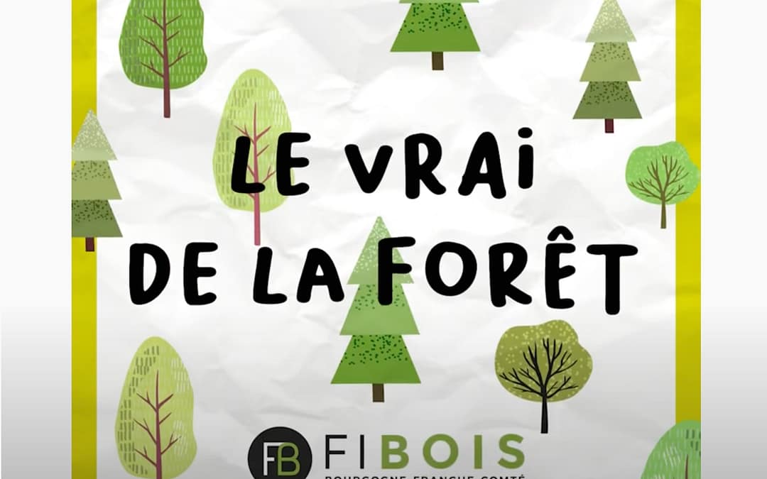 Changement climatique : les arbres sont-ils menacés ? – FIBOIS