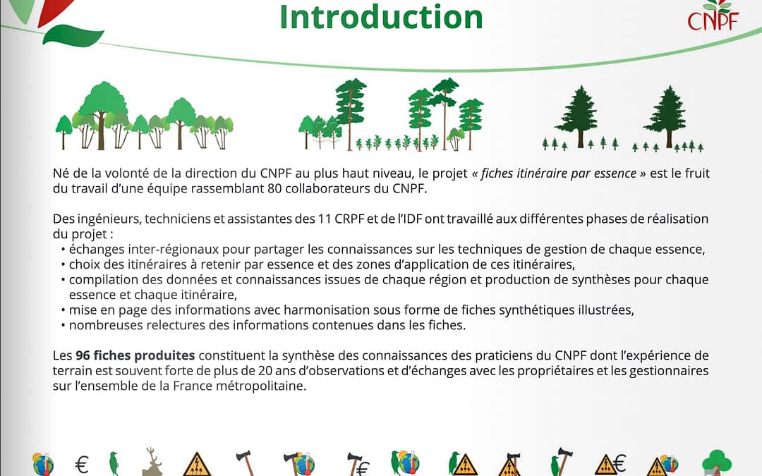 Fiches itinéraire par essence