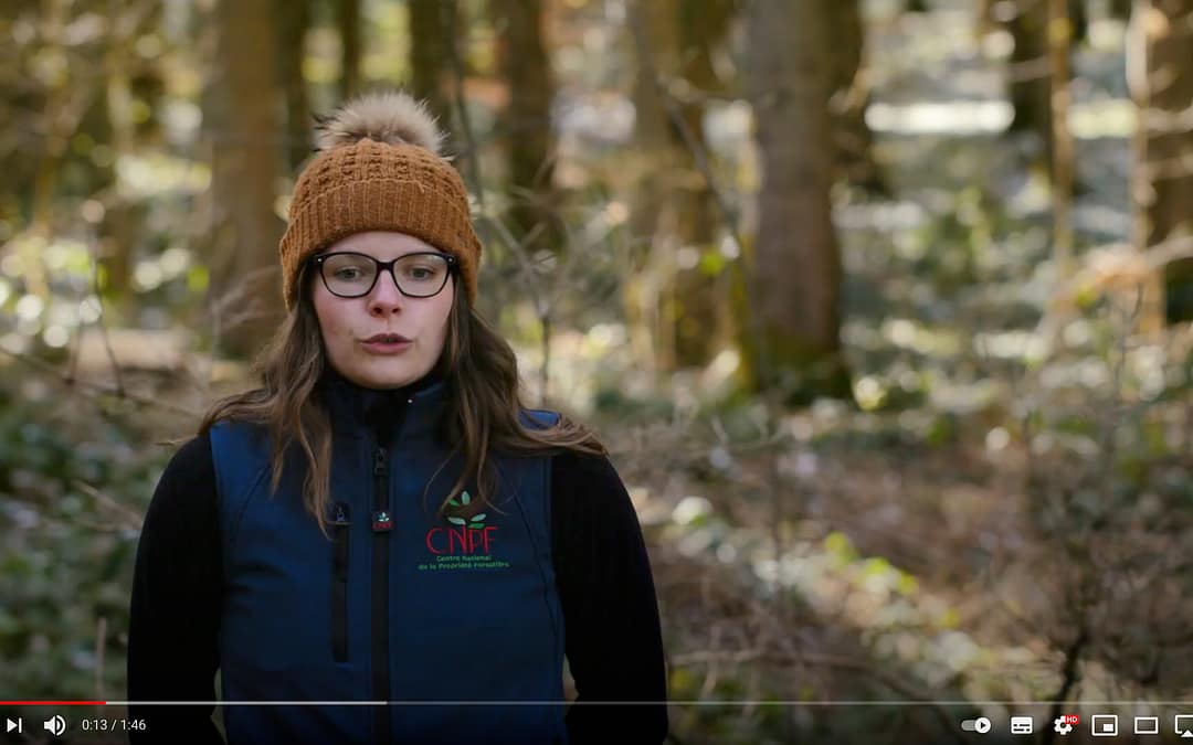 Forêts d&rsquo;épicéas, des solutions pour l&rsquo;avenir ? Partie 2/2