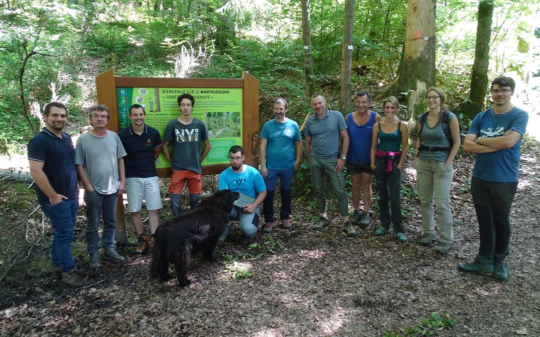 L’équipe CRPF 73-74 en visite au martéloscope de FAVERGES SEYTHENEX