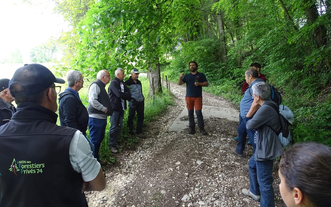 journée formation « reconnaissance des arbres forestiers » à GRUFFY