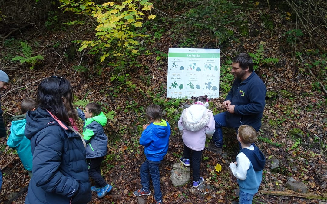 Découvrez la vidéo de la journée « découverte de la forêt » avec l&rsquo;école de FAVERGES