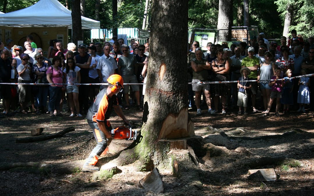 4ième fête du bois et de la forêt à THORENS GLIERES