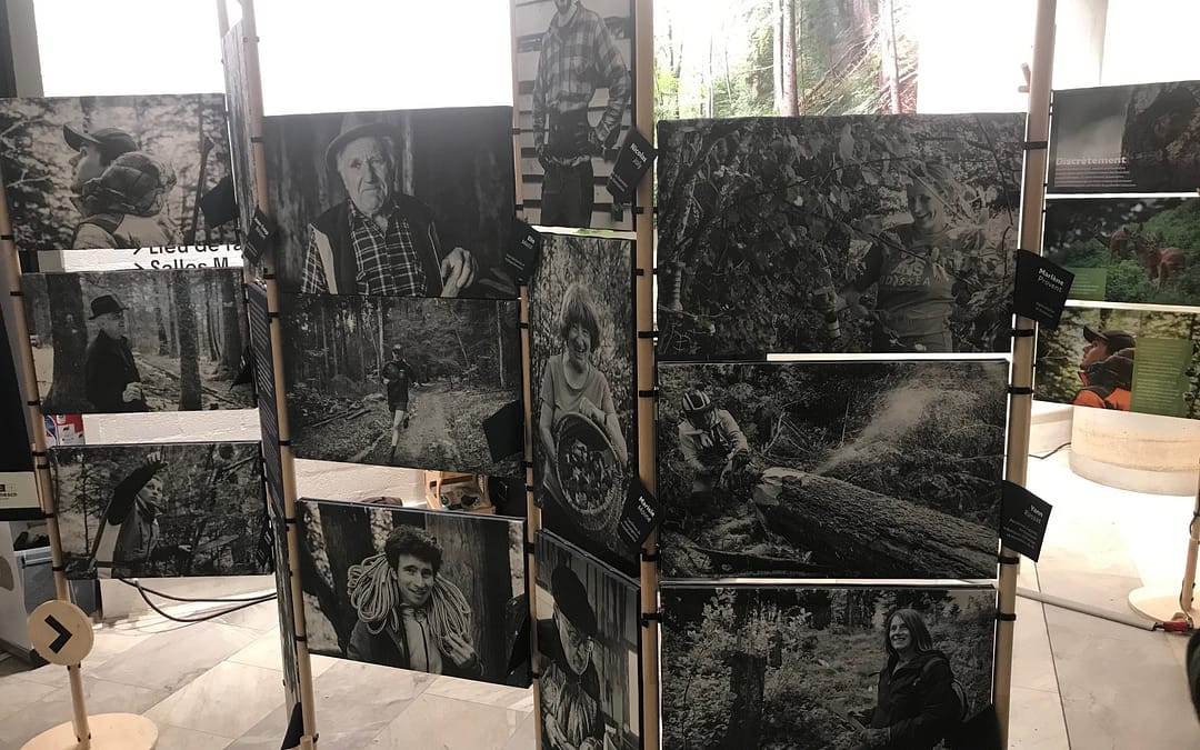 Vernissage de l’exposition « entre les branches » à l’espace Malraux à CHAMBERY