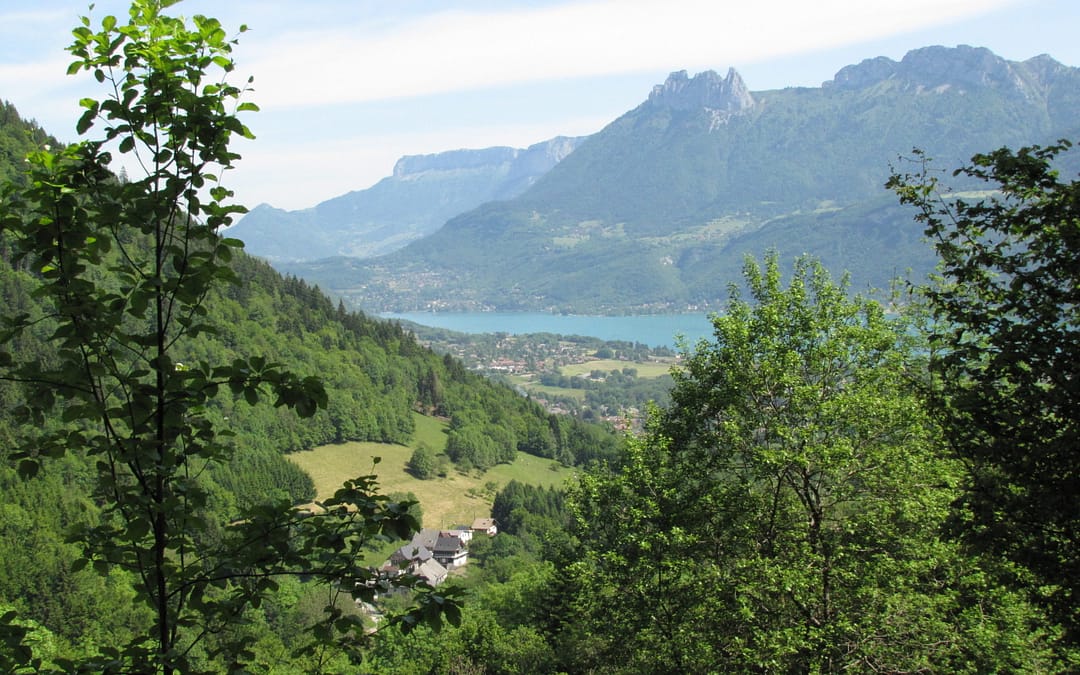 Bilan de la santé des forêts des SAVOIE 2024