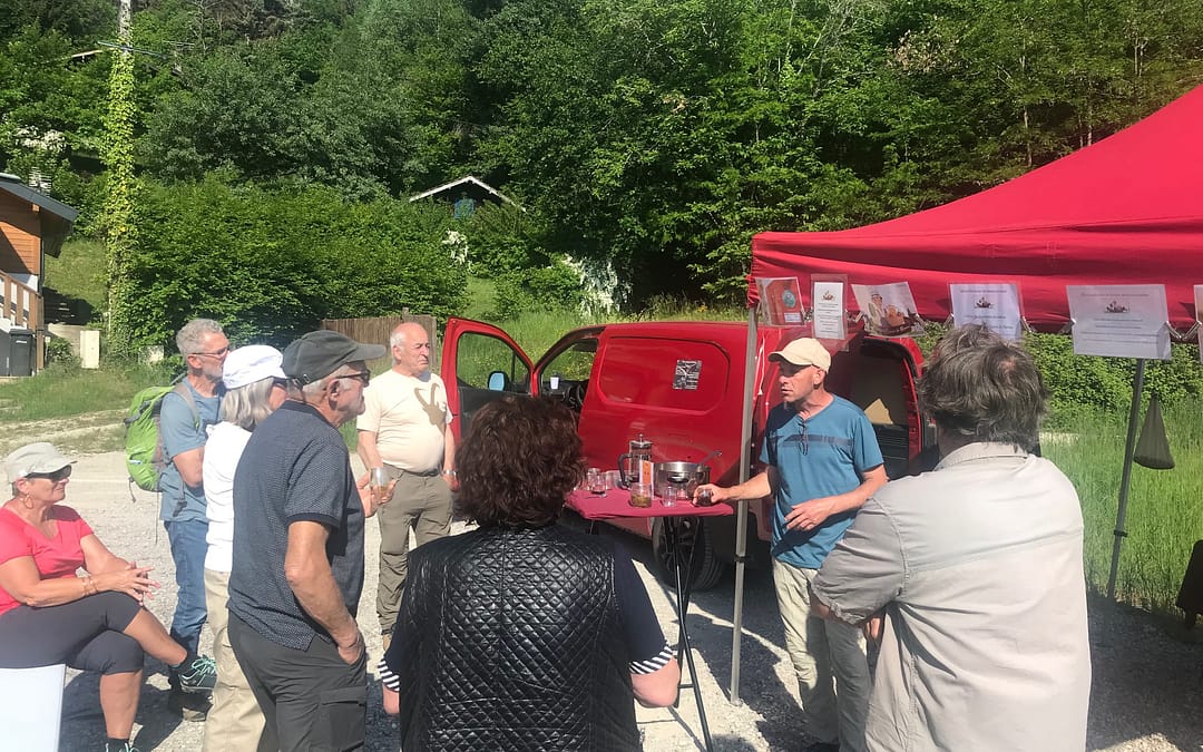 Sortie découverte et cueillette de plantes sauvages à SEVRIER