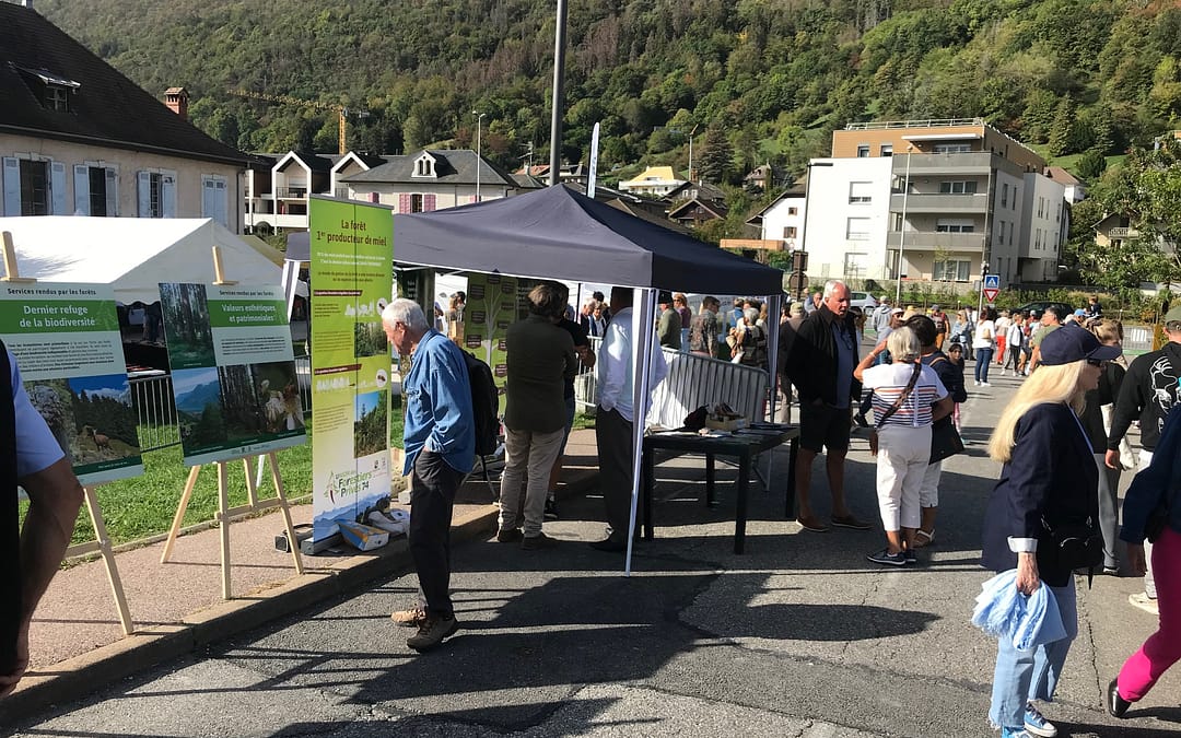 La section BAUGES à la fête du terroir à SEVRIER