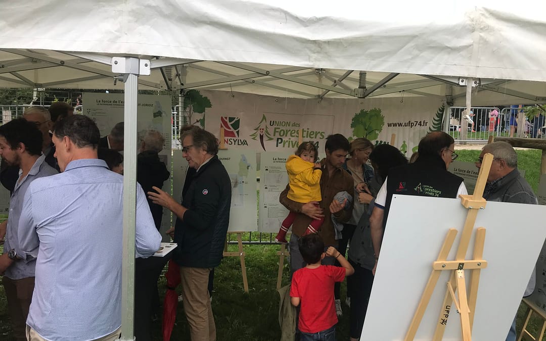 Exposition « la force de l’eau » à la fête du LAUDON à SAINT JORIOZ