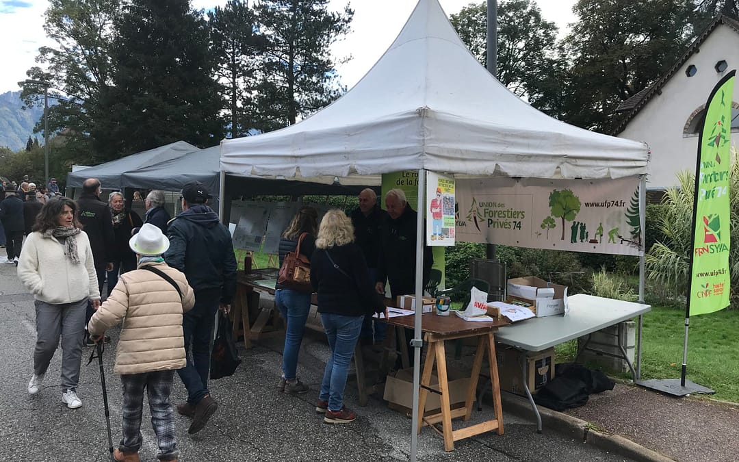 La section BAUGES à la fête du Bidoyon à SEVRIER
