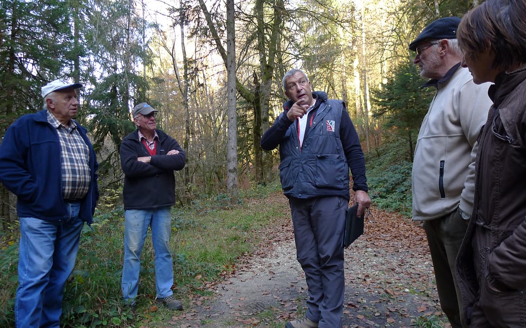 Gestion des forêt de bord de rivière à SAINT EUSTACHE