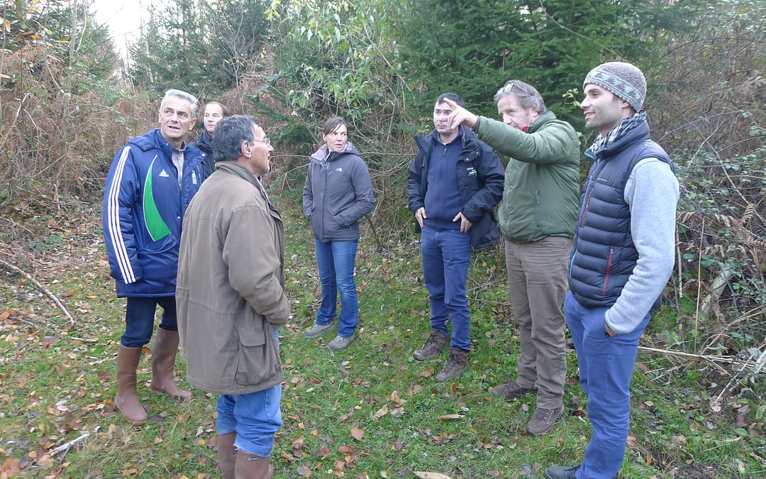 Les forestiers Wallon en visite à « la forestière du Val LAUDON »