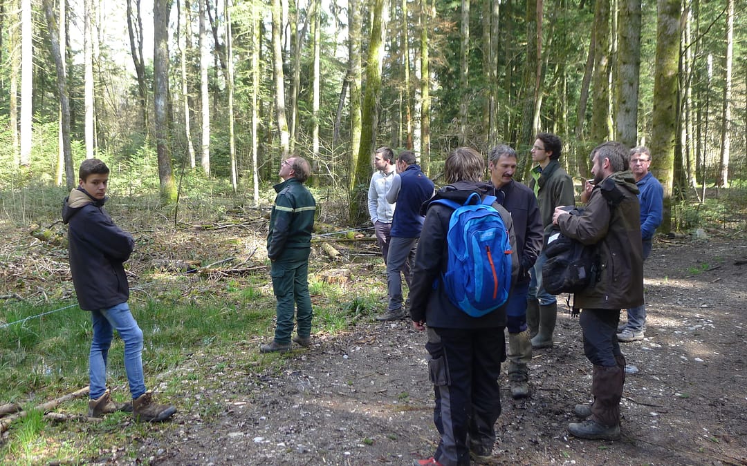 Les techniciens du CRPF en formation avec le Département Santé des Forêts