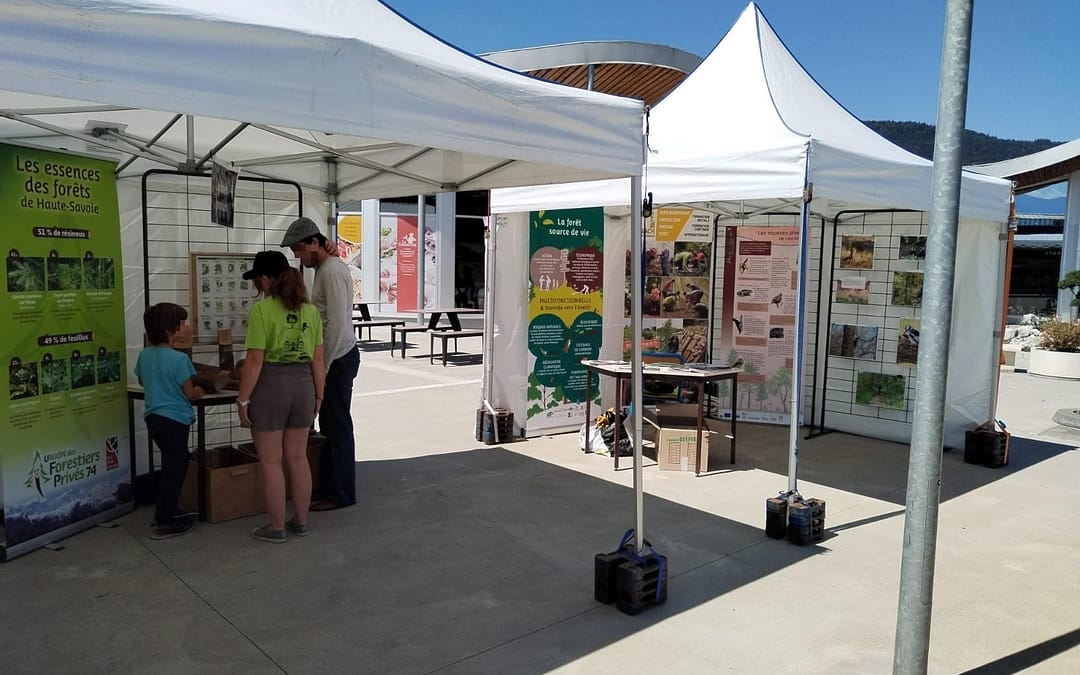 Un stand de la forêt privée sur l&rsquo;autoroute