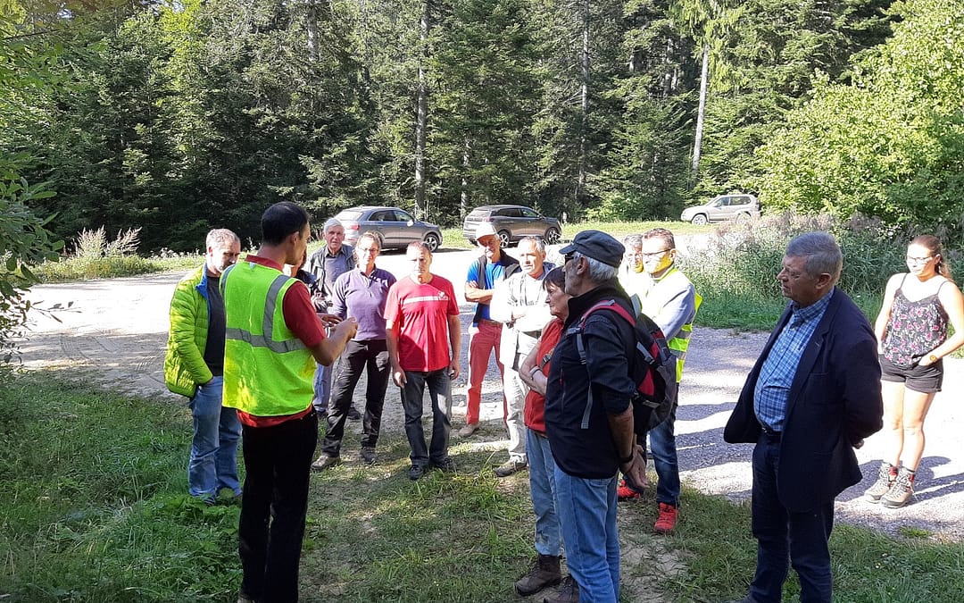 Voirons : une réunion d’information sur la protection de la biodiversité dans la gestion forestière