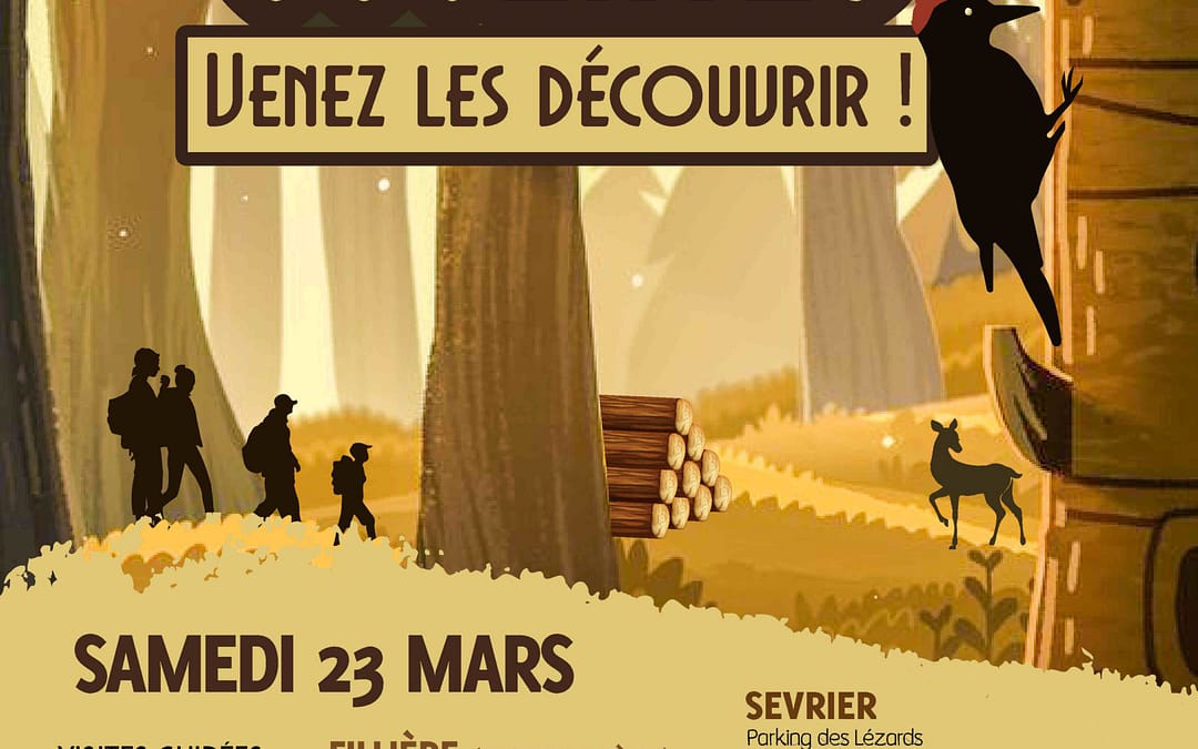 matinée « forêts ouvertes 2024 »