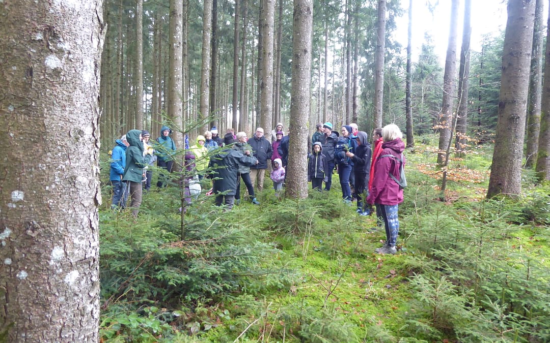 « Forêts ouvertes» à Fillière