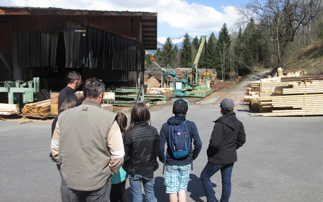 Temps d’Activité Périscolaire et sortie scierie avec l’école de DOMANCY