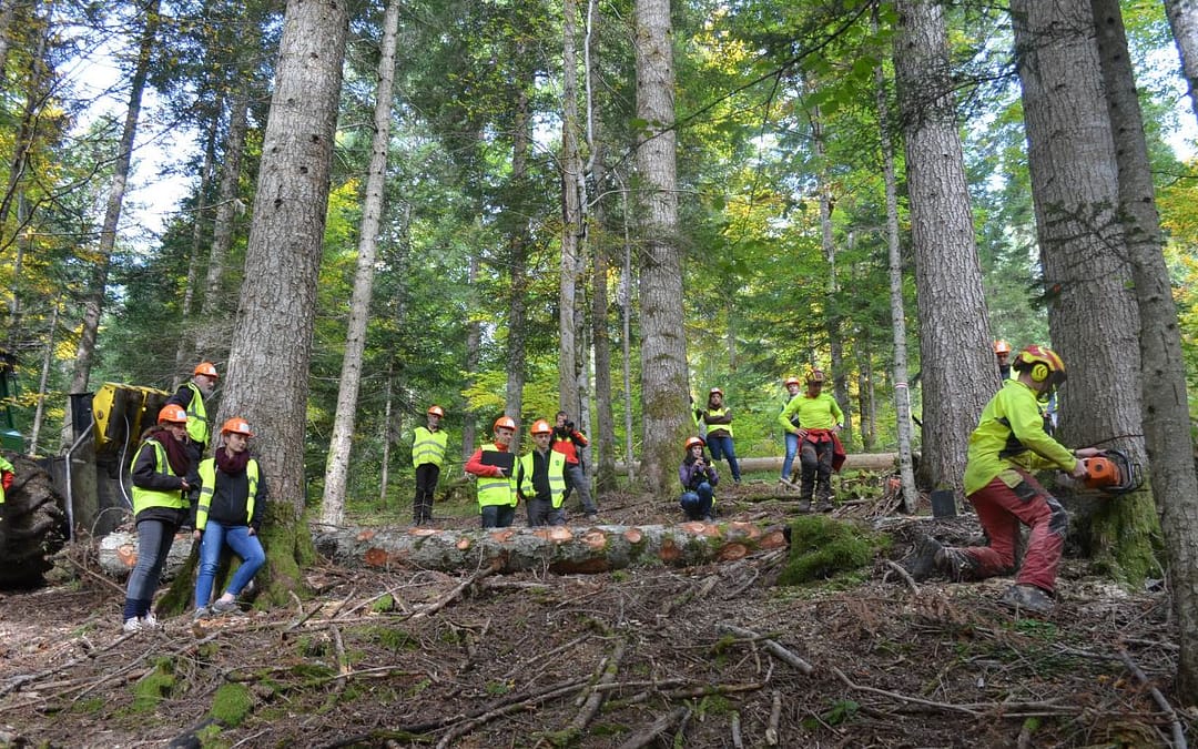 découverte des métiers de la forêt en BAUGES