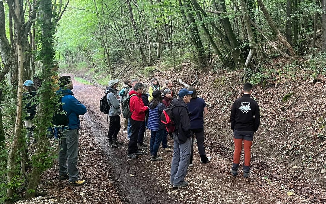 Découverte de la forêt de « la Mandallaz »