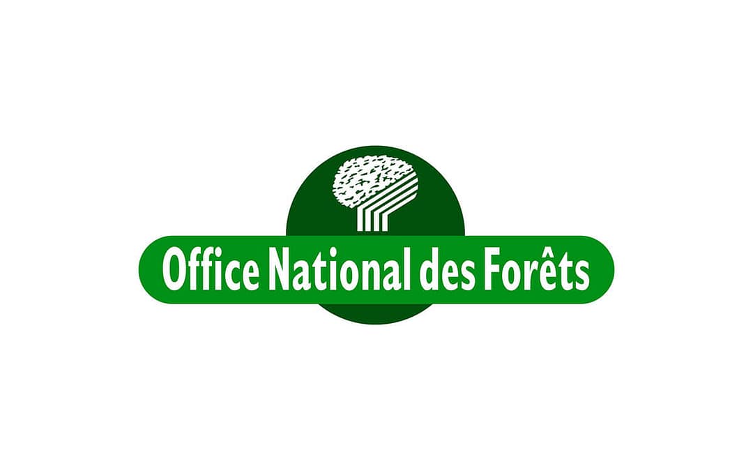 De la graine à l&rsquo;arbre, coup de pousse pour les forêts françaises – ONF