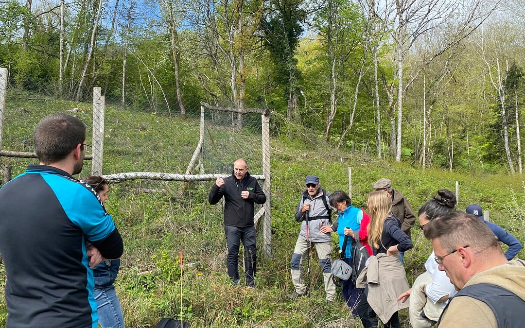 réunion de formation « la régénération naturelle et la plantation » à VULBENS