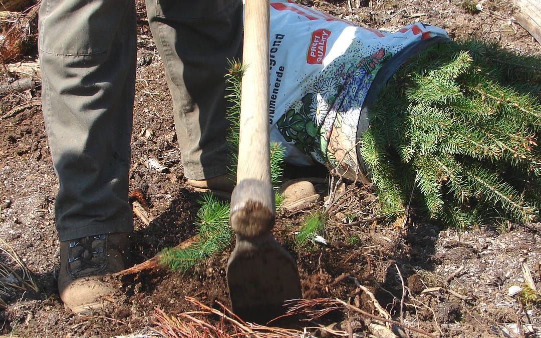 formation à la plantation forestière le 2 avril à SAINT JORIOZ