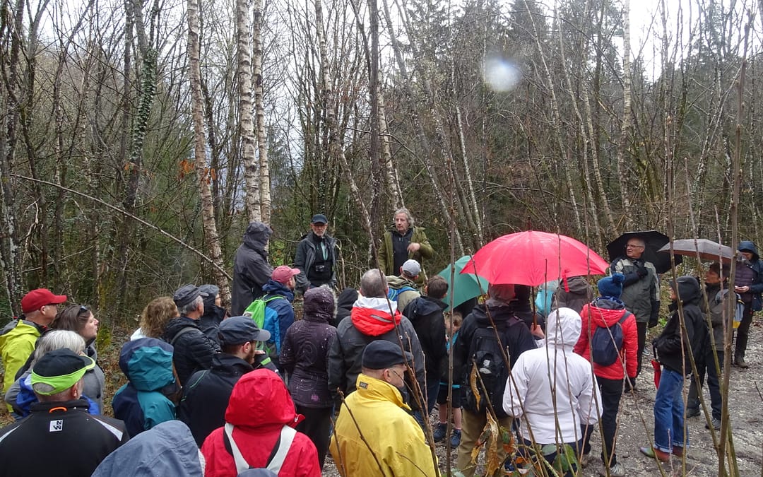 « forêts ouvertes » à SEVRIER