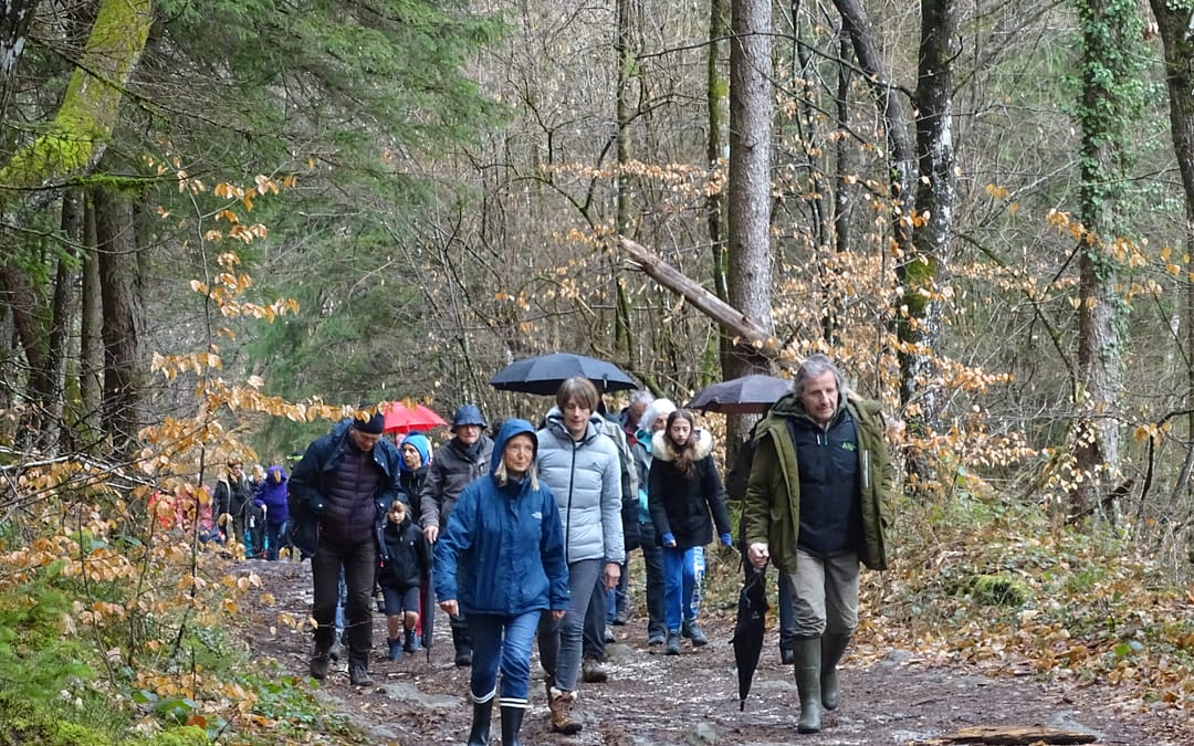 « forêts ouvertes 2023 »