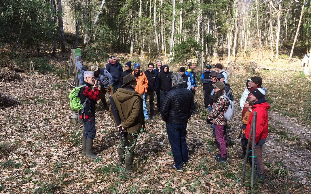 Matinée « forêts ouvertes 2024 »